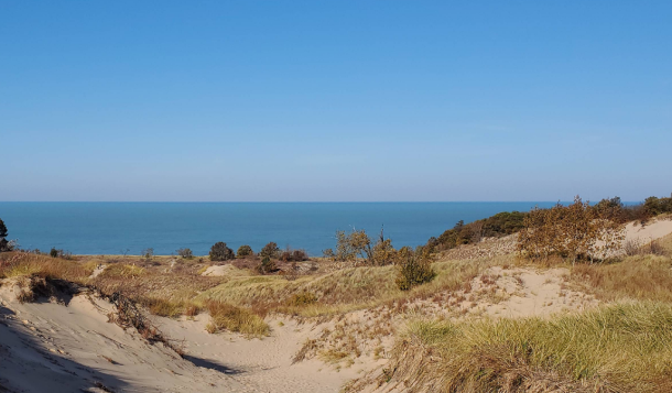 Outdoor News Hub 9 Warren Dunes State Park • Sawyer, MI